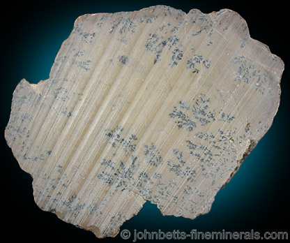 Sliced Talc with Dendrites from Cyprus Mine, south of Ennis, Madison County, Montana