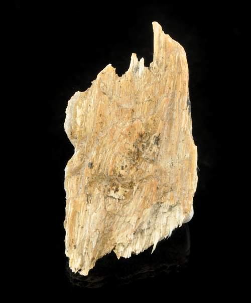 Fibrous Asbestos Tremolite from New Rochelle, Westchester Co., New York