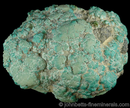 Reniform Turquoise Nodule from Crescent Peak Mine, Clark County, Nevada