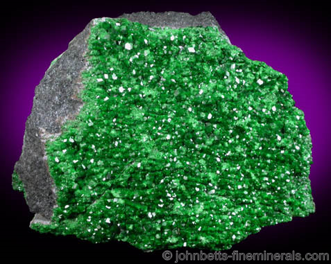 Uvarovite Crystals Coating Matrix from Saranovskoye Mine, Sarany, Permskaya Oblast', Ural Mountains, Russia