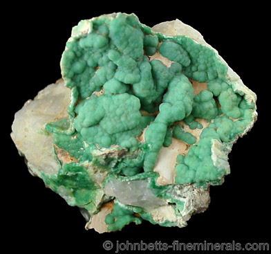 Botryoidal Green Variscite from Dug Hill, Avant, Garland County, Arkansas