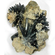 Acicular Vivianite Sprays