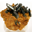 Vivianite Crystals from Florida