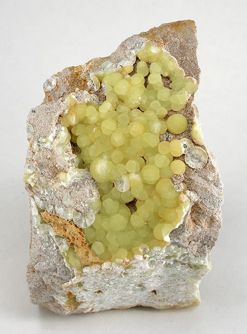 Dense Yellow Wavellite from Lime Ridge, Mount Pleasant Mills, Perry Twp., Snyder Co., Pennsylvania