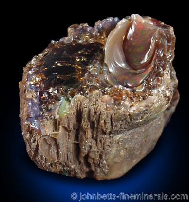Opalized Wood from Virgin Valley District, Humboldt County, Nevada