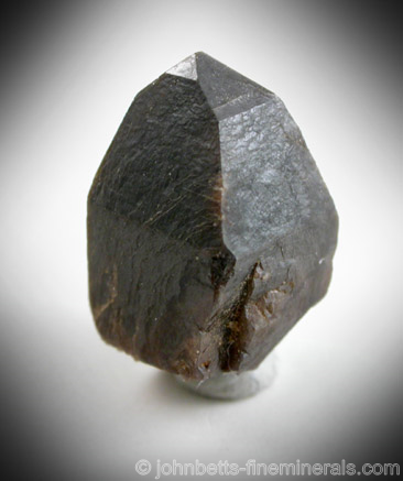 Single Prismatic Zircon Crystal from Saranac Quarry, Tory Hill, Ontario, Canada